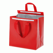 6x Sac Réfrigérant Rouge 24x24x15 cm - 8435408325400