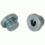 Bouchon M10X100 - M10X100 CO , 5