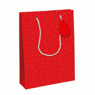 Clairefontaine Lot de 6 Sac cadeau Spicy Love, format large (26,5x14x33 cm), papier 210 g/m², anses cordelettes - 5033601014515