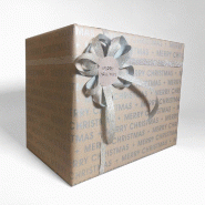 Papier cadeau kraft Merry Christmas argent métal 0,70x50m