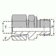 Adaptateurs Pré-serti NPT (Briggs) - FFTNPT0604 - FTNPT 06S/1/4