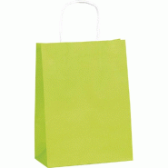 Sac kraft vert poignées torsadées 18x8x24cm - par 100