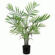Palmier Areca dans pot plastique H76cm