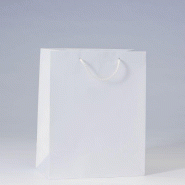 Sac Luxe pelliculé blanc 26x13x32cm - glossy - par 12