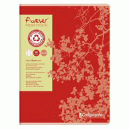 Calligraphe Lot de 10 Cahier Forever 24x32, 96p./48 feuilles 70 g/m² piquées, Séyès - 3210330174938