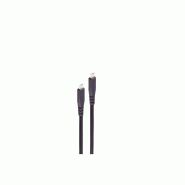 Shiverpeaks Câble USB 3.2, USB-C mâle, 4,0 m - noir 4017538012159