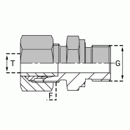 Raccords à bague Mâle BSP - Cylindrique (Whitworth) Forme B - UMCY 04LL/1/8 EQ