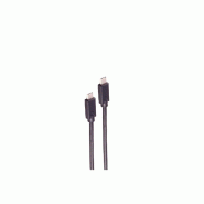 Shiverpeaks Câble BASIC-S USB 3.2, USB-C mâle, 0,25 m - noir 4017538140166
