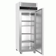Armoire congélateur en inox porte pleine - 600 L