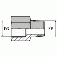 Adaptateur droit femelle gaz cylindrique x mâle NPT - DESIGNATION : FG1/8 / MNPT1/8 - Ø FG (inch) : 1/8' - Ø FG (mm) : 8.56 - Ø MP (inch) : 1/8' - Ø MP (mm) : 10.24