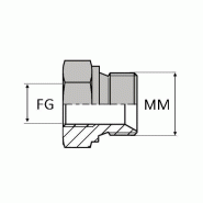 Adaptateur droit femelle gaz cylindrique x mâle DIN bague BS concentrique - FG1/4 / MDCT18X150 CONC - Ø FG 1/4' - Ø MM / FM 18X150