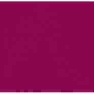 Nvase ECOLOMIQUE - 40 Pcs - Serviette micro point bordeaux - 2 plis, 38 x 38 cm - rouge papier NVS210SMP4040BD