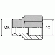 Adaptateur droit mâle BSP pour bague BS x femelle gaz cylindrique prolongé - 1/2' , 18.63 , 3/8' , 16.66