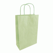Sacen papier et betterave vert menthe 18x8x22cm - par 50