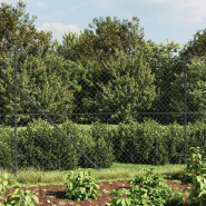 Vidaxl clôture à mailles losangées avec bride anthracite 2,2x10 m 153991 Vidaxl clôture à mailles losangées avec bride anthracite 2,2x10 m 153991
