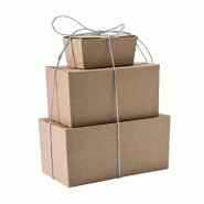 Ballotin kraft intérieur kraft 250g 12x6x6cm - paquet de 50