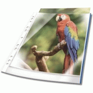 Durable Pochette à prospectus Premium A4 PP 80 my transparent/bleu UE=25 pièces - 265506