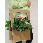 Sac kraft naturel 10x12x35cm - par5