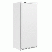Armoire réfrigérée négative Série C 600L CD615 Polar