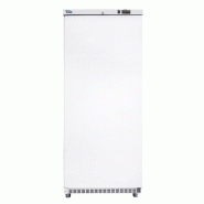 Armoire réfrigérée négative 1 porte pleine 600 litres gaz r290 - PAE601N
