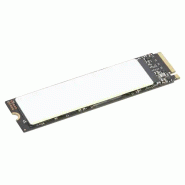 Lenovo 4XB1M86956 disque SSD 2 To M.2 PCI Express 4.0 NVMe