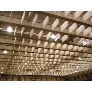 Réseaux de baffles acoustiques ALFACOUSTIC - traitement de réverbérations pour correction sonore Réseaux de baffles acoustiques ALFACOUSTIC - traitement de réverbérations pour correction sonore