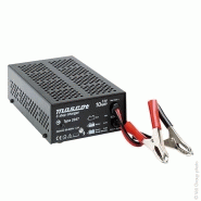 CHARGEUR PLOMB 24V/5A 230V MASCOT 2047 - PINCES CROCODILES (INTELLIGENT) CHARGEUR PLOMB 24V/5A 230V MASCOT 2047 - PINCES CROCODILES (INTELLIGENT)