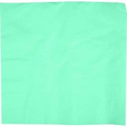 Firplast Serviette 38X38 2 plis ouate pastel aqua X2400(24X100) - blanc 13353890031819 Firplast Serviette 38X38 2 plis ouate pastel aqua X2400(24X100) - blanc 13353890031819