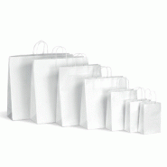 Sac papier kraft - blanc poignées torsadées