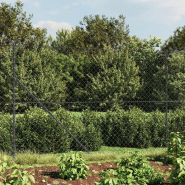 Vidaxl clôture à mailles losangées avec ancrage anthracite 2x25 m 153982