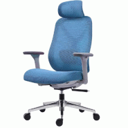 Fauteuil de bureau ergonomique pivotant, accoudoirs 4D, appui-tête 2D, dossier oscillant, soutien lombaire et hauteur réglable - ZIK - bleu multi-ma