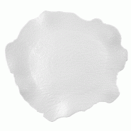 In Situ - Assiette Elysea plate en porcelaine blanche 31 cm x 28,5 cm - boite de 2 - blanc porcelaine 051581