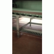 Bande transporteuse avec zones de travail d'occasion - référence : e6657