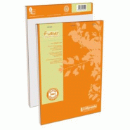 Calligraphe Lot de 5 Bloc Forever format 210x297, 100 feuilles 70 g/m² agrafées, quadrillé 5x5 - 3210330172545