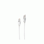 Shiverpeaks Câble USB 2.0 BASIC-S, mâle A - mâle B, 0,25 m - gris 4017538069443 Shiverpeaks Câble USB 2.0 BASIC-S, mâle A - mâle B, 0,25 m - gris 4017538069443