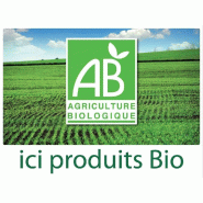 Panneau "Ici produits bio" - fil nylon - 40x30cm - impression recto-verso noir - PS blanc 1,5mm