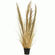 Herbe seche en pot H100 cm