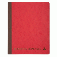 Lot de 10 Piqûre RECETTES-DEPENSES 17x22 vertical, 80 pages - 3370440020317