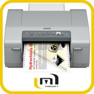 Imprimante couleur epson gp c831