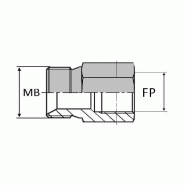 Adaptateur droit mâle BSP pour bague BS x femelle NPT - MBSPCT1/8 / FNPT1/8 PROLONGE - 1/8' 9.72mm
