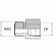 Adaptateur droit mâle ORFS x femelle NPT - 1/2' , 17.81