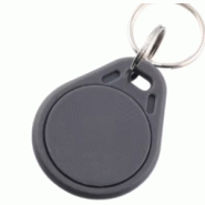 Porte-clefs RFID Atmel/TEMIC T5567/T5577 - Gris - Mémoire 330 bits - 125KHZ - 3-10 cm