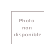 Lampadaire solaire urbain à LED - Acier galvanisé thermolaqué 3.5 m - 30 W / 3600 Lm - Modèle ARL-GL003_1