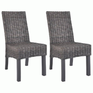Décoshop26 - Lot de 2 chaises de salle à manger cuisine marron Rotin kubu et bois de manguier CDS020703 - marron Bois massif 3001117199783