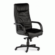 Fauteuil président ray 8603