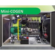 Mini-cogen - cogénération - e. Van wingen - investissement pour 30.000 à 70.000 kwhe par an