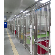 Salle de Cage en acier inoxydable pour Chiens de Laboratoire sur mesure