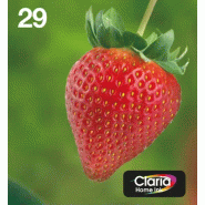 Multipack EasyMail "Fraise" 29 - Encre Claria Home N,C,M,J