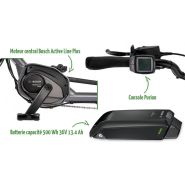 Tricycle électrique Combo - Moteur Bosch Active Plus - Autonomie 75 km - Pfautec_1