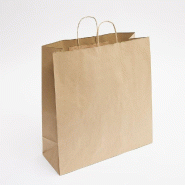Sac kraft brun poignées torsadées - 45x17x48cm - par 50 - Idéal pour articles volumineux et lourds